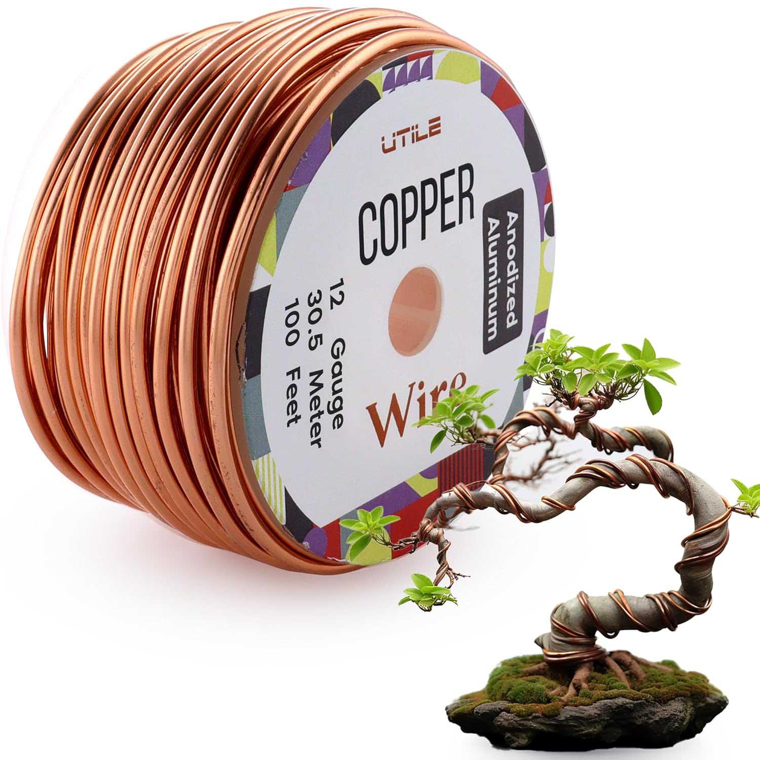 Bonsai Wire - 12 gauge / 100 feet